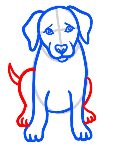 Learn How To Draw A Golden Retriever Drawing Easy To Draw Everything