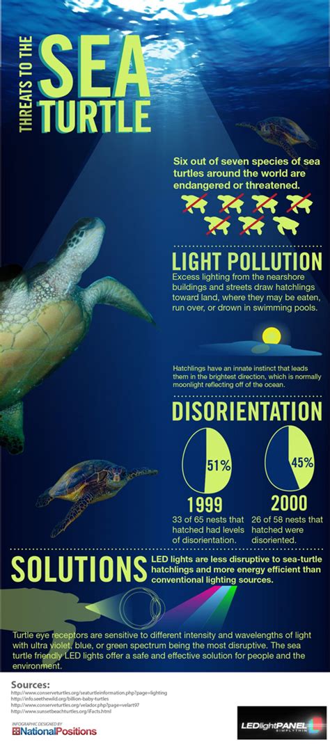 Threats To The Sea Turtles Infographic Save The Sea Turtles Baby Sea Turtles Sea Turtle Facts