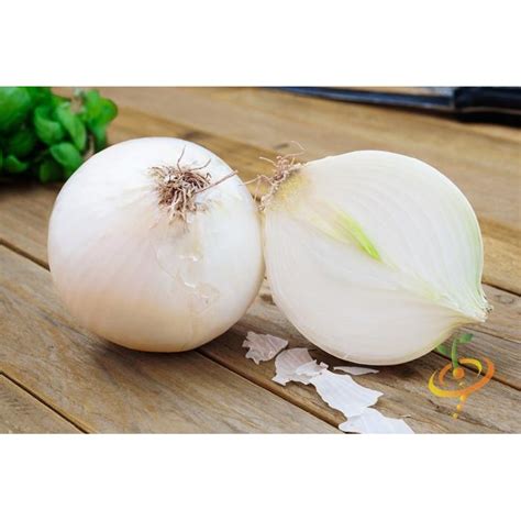 White Sweet Spanish Onion Vegetable Plant Seeds Lazada Ph
