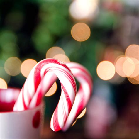 Download Candy Cane Christmas Lights Wallpaper