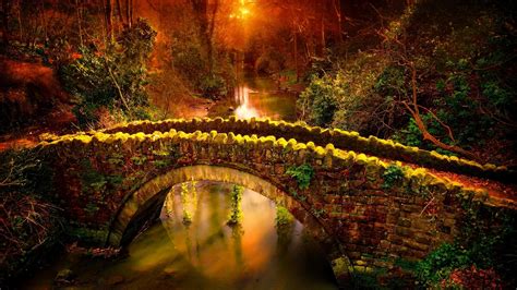 Bridge Between River Surrounded By Green Trees Forest In Sunset