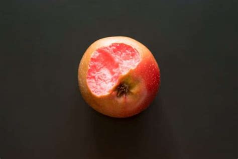 Apple Pink Inside Common Varieties And Problems