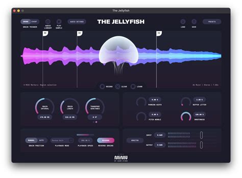 The Jellyfish Mimu The Jellyfish Audiofanzine
