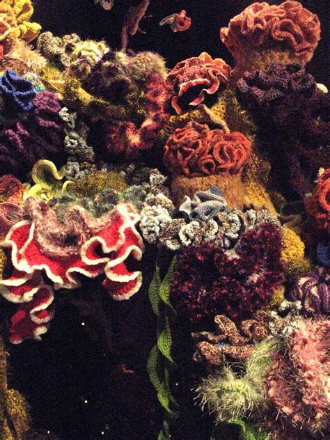 Crochet Coral Reef Crochet Fish Crochet Coral Crochet Art