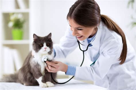 Veterinary Doctor2u