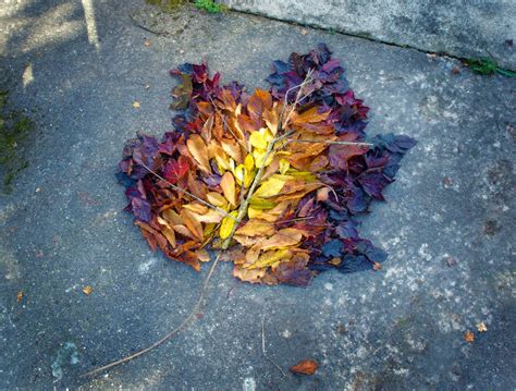 Northleigh House School Art And Photography Leaf Sculpture Inspired By