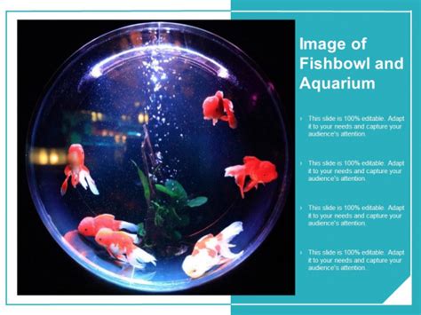 Image Of Fishbowl And Aquarium Ppt Powerpoint Presentation Infographics