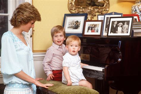 With The New Documentary About Princess Diana William And Harry Take