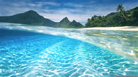 Underwater Beautiful Summer Wallpapers 2560x1440