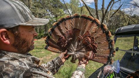 Append content without editing the whole page source. There's no better way to remember and celebrate your hunt than mounting a turkey fan and beard ...
