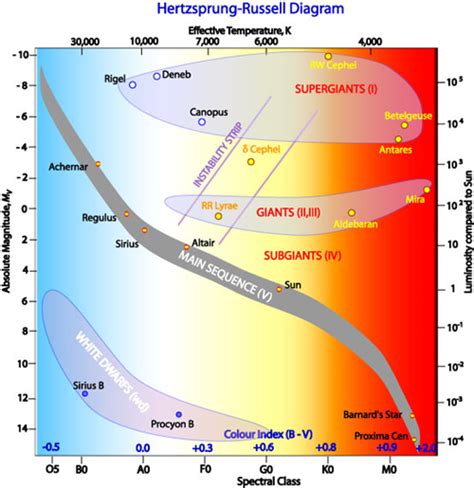 White Dwarfs