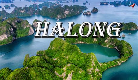 Private Car Hanoi To Halong Bay With Driver 4 45 Seaters Vietrapro