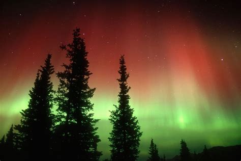 Guía Práctica Para Ver Auroras Boreales Auroras Boreales Aurora