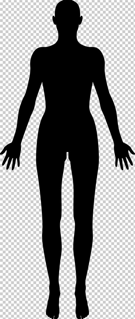 Free for personal & commercial purposes. Library of human body figure vector free library png files ...