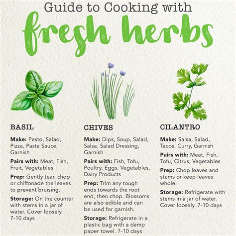 Guide To Cooking With Fresh Herbs Cooking With Fresh Herbs Fresh Herbs Cooking Herbs