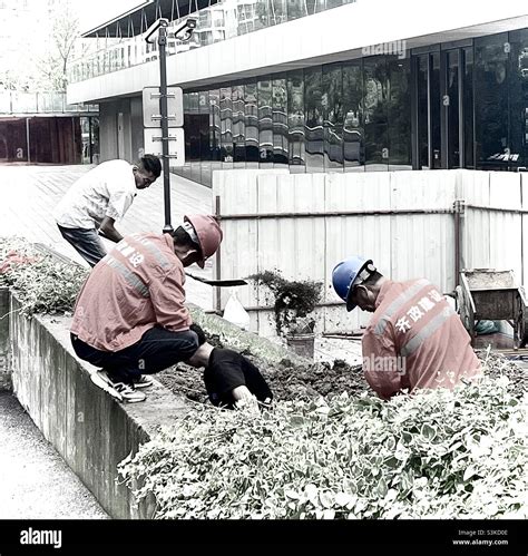 Hardworking Heroes Come In All Shapes & Sizes Stock Photo - Alamy