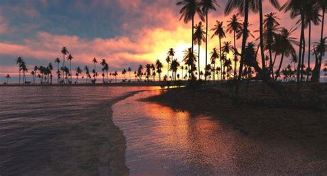 Nature Landscape Tropical Beach Sunset Palm Trees Sea Clouds