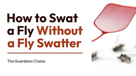 3 ways to swat a fly without a fly swatter the guardians choice youtube