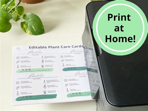 Editable Plant Care Card Printable Plant Care Card Template Etsy Israel
