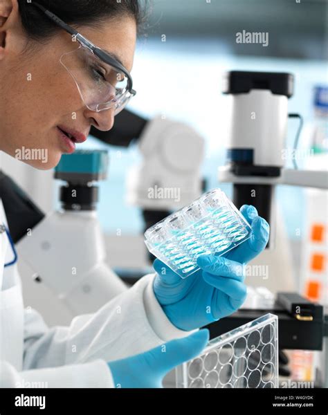 Biotech Research Scientist Viewing Samples In Multi Well Plate Ready