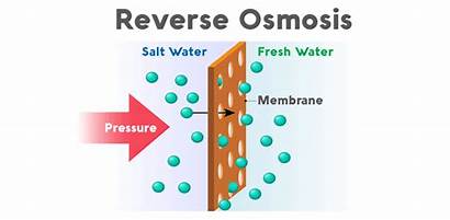 Osmosis Reverse Water Aquarium Does Membrane System