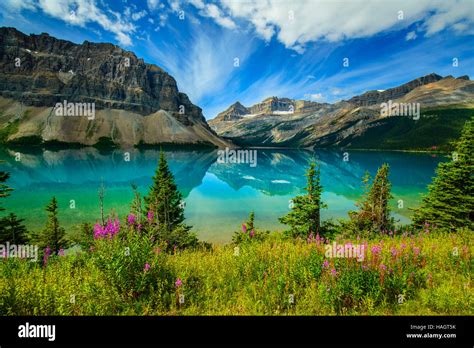 Bow Lake Banff National Park Alberta Canada Stock Photo Alamy