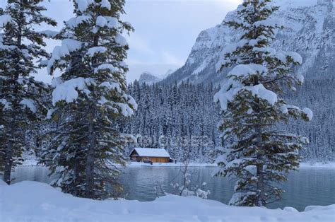 Cabin At Lake Louise In Winter Banff National Park Alberta Canada