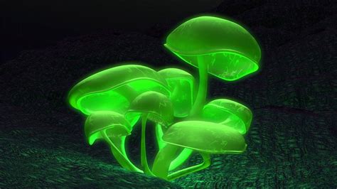 39 Neon Mushroom Wallpaper Wallpapersafari