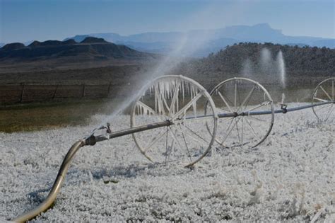 Frozen Sprinkler Stock Photos Pictures And Royalty Free Images Istock