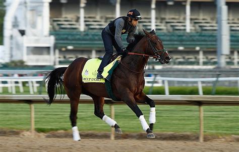 Montana Trained Horse In Saturdays Kentucky Derby