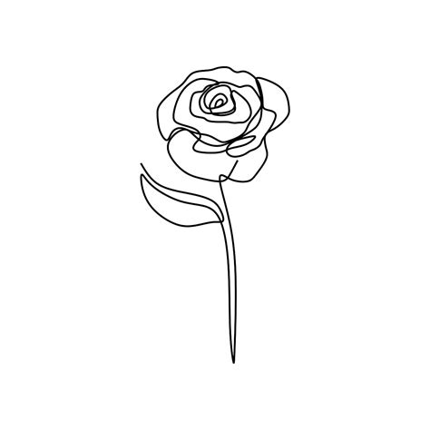 Rose Flower Continuous Line Art Drawing Vector Illustration Flower