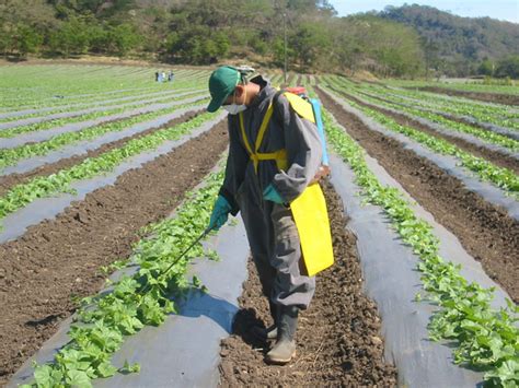 See more of agricultor on facebook. 15 de mayo, Día Nacional del Agricultor