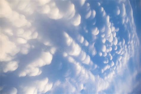 Cumulus Clouds Aka Puffy Clouds Aka Cotton Like Clouds Aka Fluffy