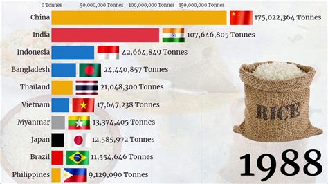 Top 10 Largest Producer Of Rice In The World🍚🍚 1961 2020 Biggest