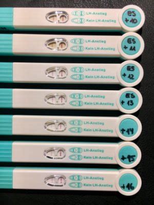Schwangerschaftstests, die direkt beim arzt durchgeführt werden, können gegebenenfalls eher aufschluss über eine. Ist das ein negatives Orakel? - Kinderwunsch - BabyCenter