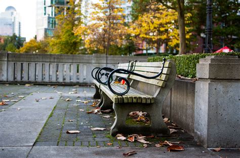 Free Images Tree Pedestrian Road Bench Street Fall City