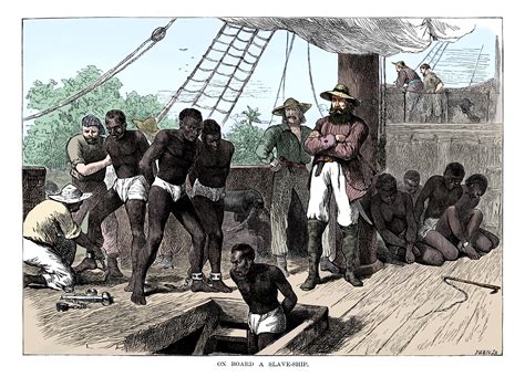Dna Study Reveals How Rape Disease And Deadly Conditions In Slave