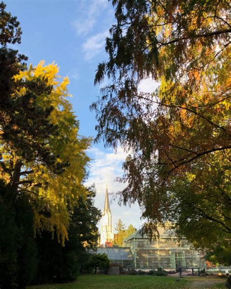 Things To Do In Vienna In Autumn Schoenbrunn Palace And Park