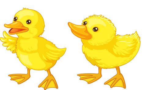 Duck Png Image Clip Art Duck Cartoon Cute Animals Images Porn Sex Picture