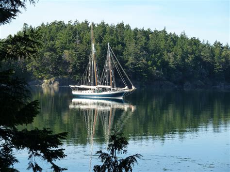 From 69 cabin rentals to 327 house rentals, find a unique house rental for you to enjoy a memorable. San Juan Island Cruises Invite You to Explore the Unknown ...