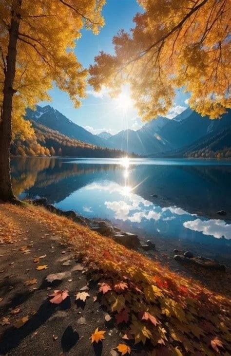 The Sun Shines Brightly Through Autumn Leaves Near A Lake