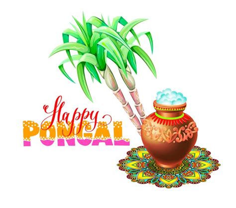 Premium Vector Happy Pongal Greeting Card