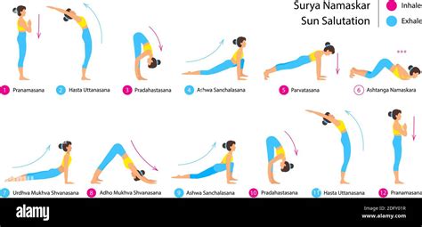 Surya Namaskar A Sun Salutation Yoga Asanas Sequence Set Vector