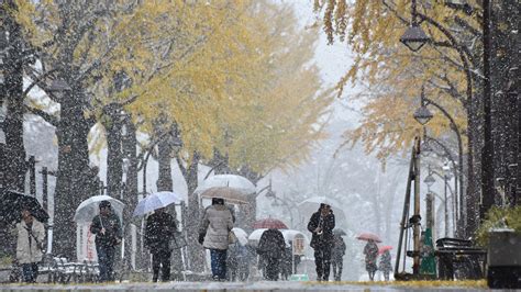 Las 10 Mejores Postales De Un Día Inusual En Tokio Por Primera Vez En 54 Años Nevó En Noviembre