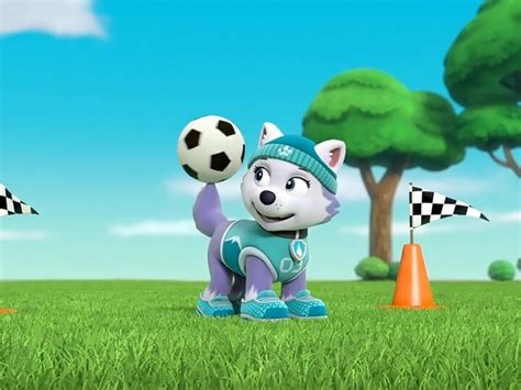 Paw Patrol On Tv Channels And Schedules Tv Co Uk