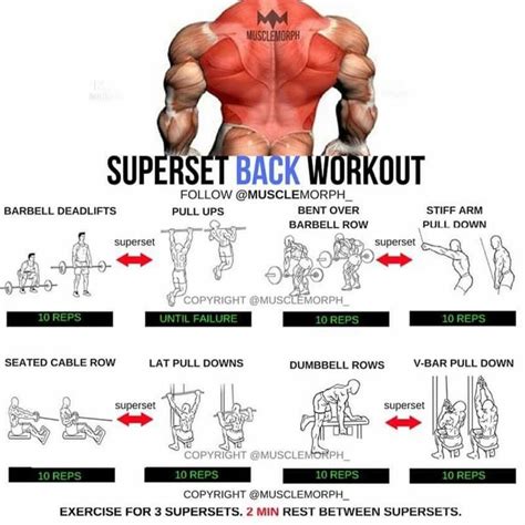 Superset Back Workout Backexercise Bodybuilding
