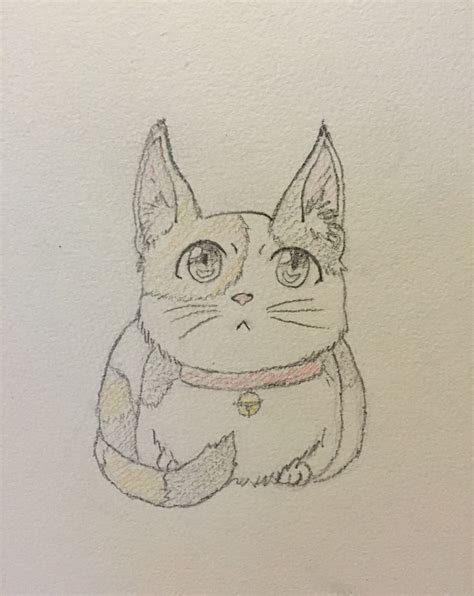 Don't draw the iris, pupil, or lower eyelid. This is what cat with anime eyes would look like... Turned ...