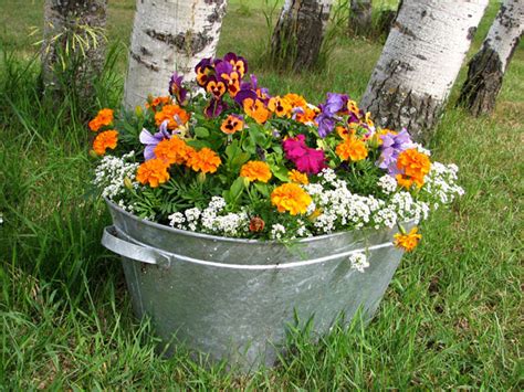 Colorful Flower Bucket Pot Free Stock Photo Public