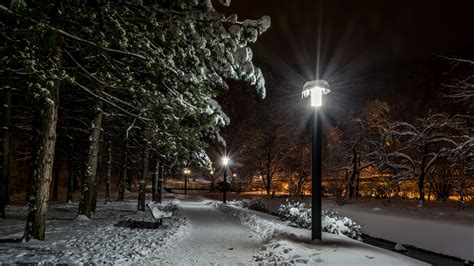 4k Samobor City Of Zagreb Croatia Parks Winter Snow Trees