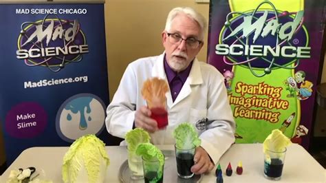 Mad Science Chicago Shares Stem Science Experiments For Kids Abc7 Chicago